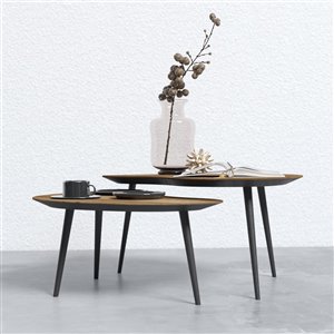 Organic Coffee Table Set - 2 Pieces - Wood
