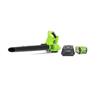 Greenworks Cordless Leaf Blower/Vacuum with Lithium-Ion Battery - 40-Volt - 340 CFM