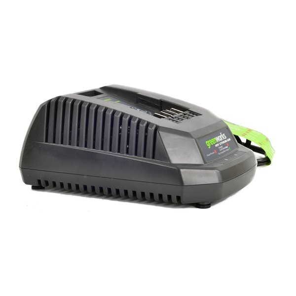 Greenworks 40 volt battery and online charger