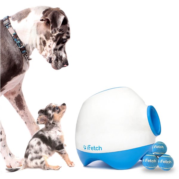 Ifetch sales dog toy