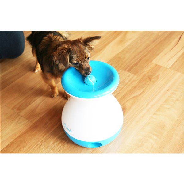 Ifetch Frenzy Toss and Retrieve Dog Toy White and Blue