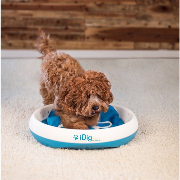 Idig Stay Interactive Dog Toy - White and Blue