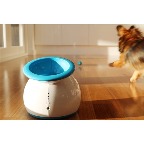 Ifetch Toss and Retrieve Dog Toy White and Blue RONA