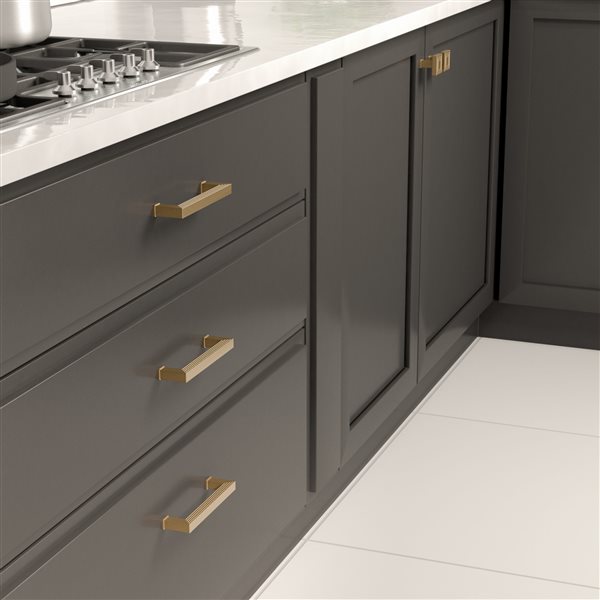 Richelieu Como Transitional Cabinet Pull - 128-mm - Champagne Bronze