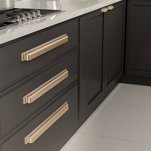 Richelieu Torino Transitional Cabinet Pull - 480-mm - Champagne Bronze