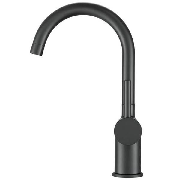 Ancona Aria Single Hole Bathroom Sink Faucet - 1-Handle - Matte Black