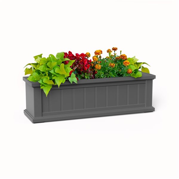 Mayne Cape Cod 3-ft x 11-in Rectangle Resin Window Box - Graphite Grey ...