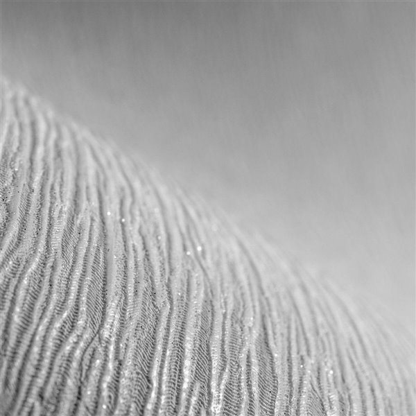 Graham & Brown Surface Vinyl Textured Abstract Wallpaper - Unpasted/Paste the paper - 56-sq. ft - Silver