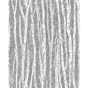 Advantage Flay Birch Tree Wallpaper - Black