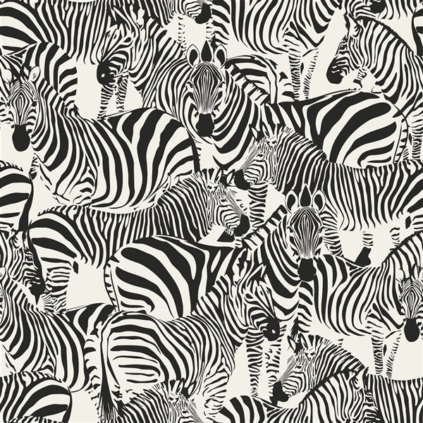 Papier peint Jemima Zebra de Origin, noir