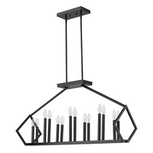 Luminaire suspendu Luca de Acclaim Lighting, 14 ampoules, noir mat