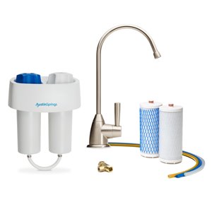 Filtre à eau sous l'évier avec robinet Austin Springs, nickel brossé