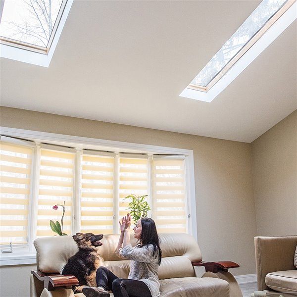 FAKRO Double Glazed Tempered 30 x 46 Deck Mount Fixed Glass Skylight