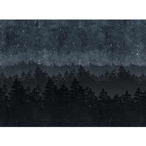 Murale non encollée Nordic Night d'Engblad & Co, 143 po x 105,6 po, noir