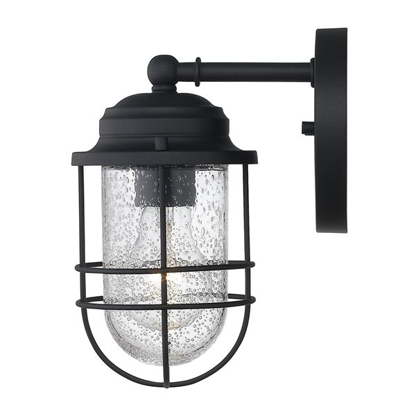 Golden Lighting Seaport Outdoor Wall Sconce - 9.25-in - Black/Frosted Glass