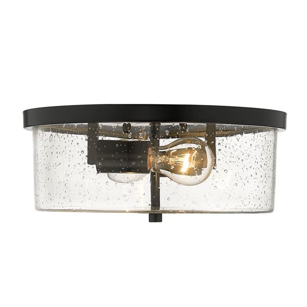 Golden Lighting Rayne Contemporary/Modern Flush Mount Light - 2-Light - 12.63-in - Matte Black