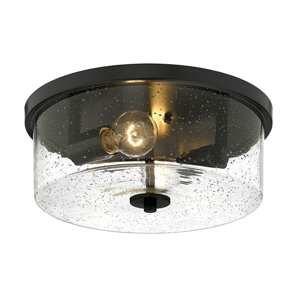 Golden Lighting Rayne Contemporary/Modern Flush Mount Light - 2-Light - 12.63-in - Matte Black