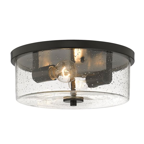 Golden Lighting Rayne Contemporary/Modern Flush Mount Light - 2-Light - 12.63-in - Matte Black