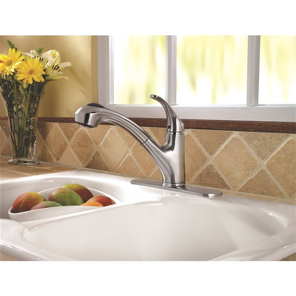 Pfister Shelton 1-Handle Pull-Out Kitchen Faucet - Stainless