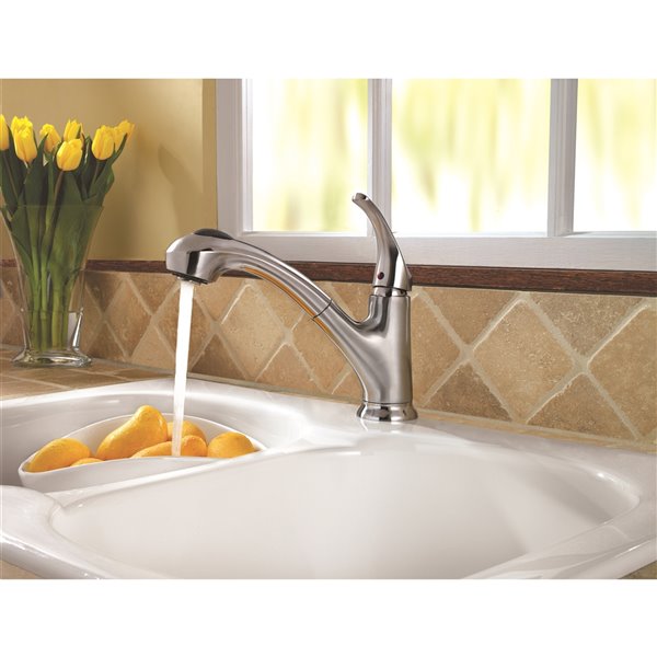 Pfister Shelton 1-Handle Pull-Out Kitchen Faucet - Stainless