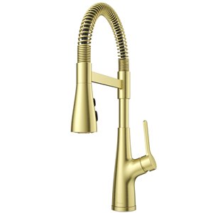 Pfister Neera Pull-Down 1-Handle Culinary Kitchen Faucet - Gold