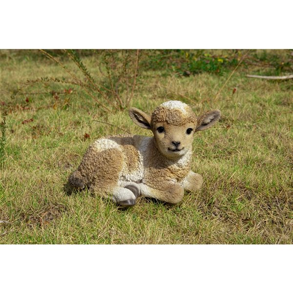 Hi-Line Gift Ltd. Small Baby Lamb Lying Down - Brown/White