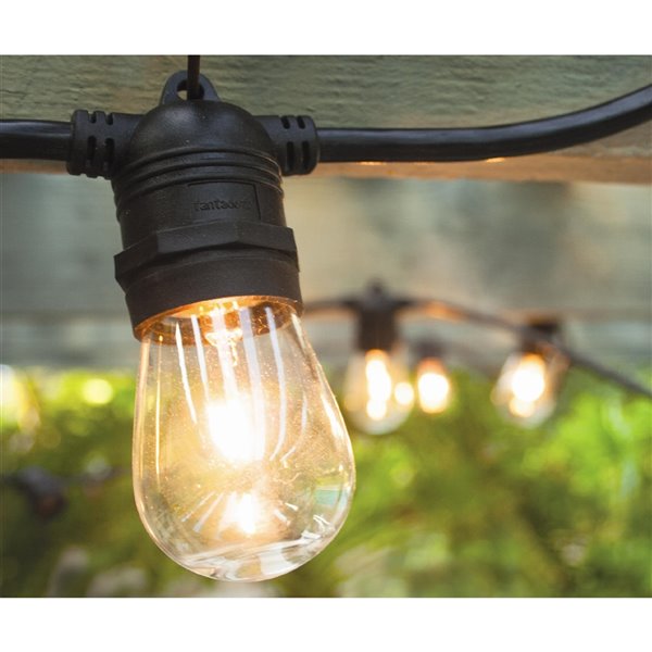 HiLine Gift Ltd. 10Bulb Indoor/Outdoor LED String Lights 3750210LED