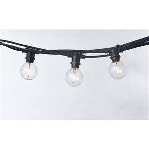 Hi-Line Gift 10-Bulb Indoor/Outdoor LED String Lights