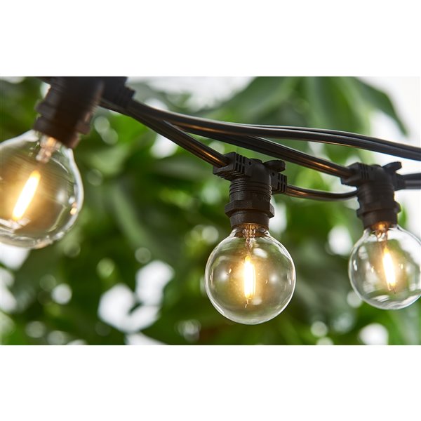 Hi-Line Gift Ltd. 25-Bulb Indoor/Outdoor LED String Lights