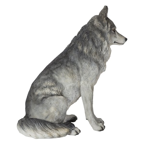 wolf sitting