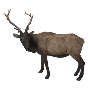 Hi-Line Gift Ltd. North American Elk Statue