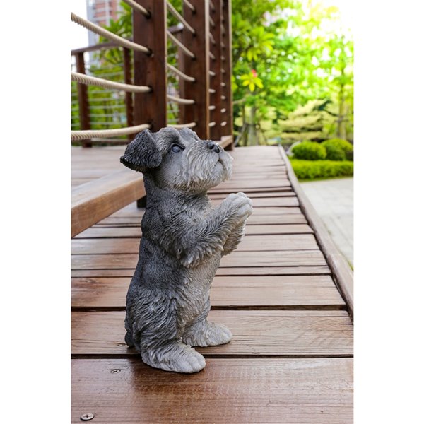 Hi-Line Gift Ltd. 8.3 H x 5-in W Grey Schnauzer Puppy Praying Garden Statue