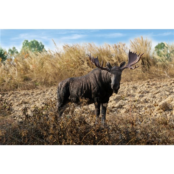 Hi-Line Gift Ltd. Standing Moose Statue