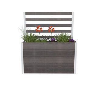Vita Urbana Parklette Large Planter with Trellis - 59-in L x 16-in W x 66-in H - Espresso Brown