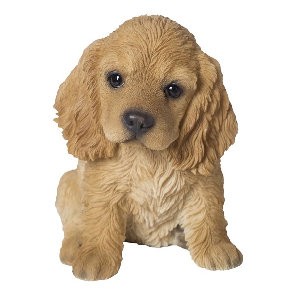 Plus de 300 images de Cocker et de Chien