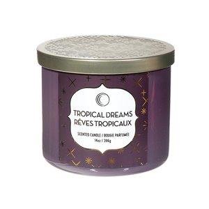 Chandelle en pot Rêves tropicaux de 14 oz et 3 mèches par IH Casa Decor, lot de 2