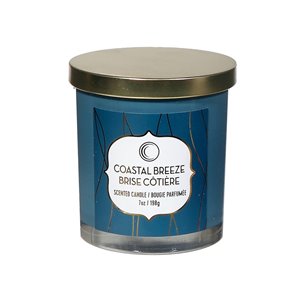 Chandelle en pot Brise côtière de 7 oz et 2 mèches par IH Casa Decor, lot de 2