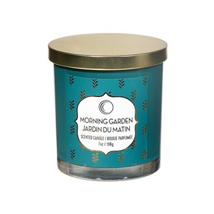 Chandelle en pot Jardin du matin de 7 oz et 2 mèches par IH Casa Decor, lot de 2