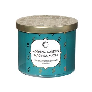 Chandelle en pot Jardin du matin de 14 oz et 3 mèches par IH Casa Decor, lot de 2