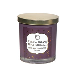 Chandelle en pot Rêves tropicaux de 7 oz et 2 mèches par IH Casa Decor, lot de 2