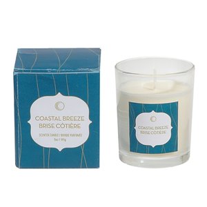 Chandelle en pot Brise côtière de 5 oz et 2 mèches par IH Casa Decor, lot de 2