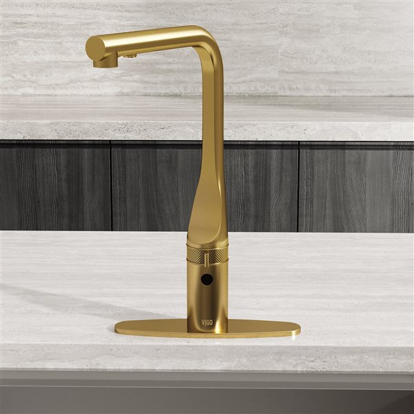 VIGO&nbsp;10-in Deck Plate - Matte Brushed Gold