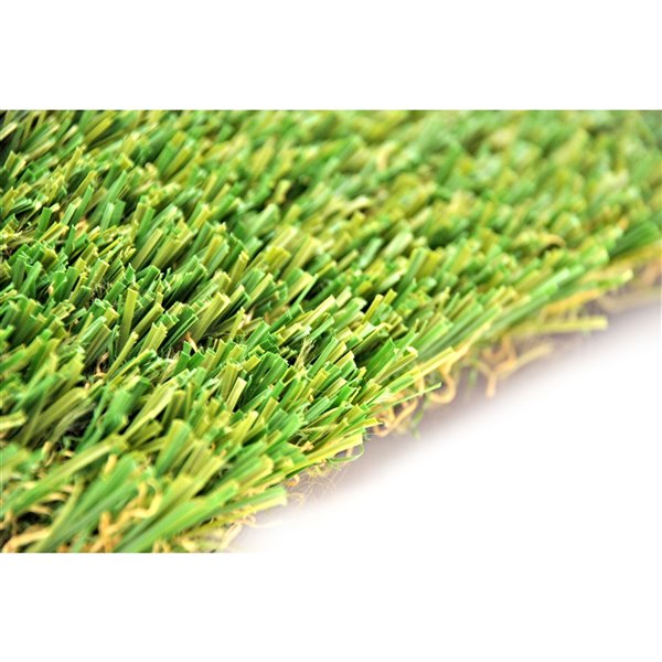 Gazon synthétique de fétuque Spring de Green as Grass, 8 pi x 3 pi