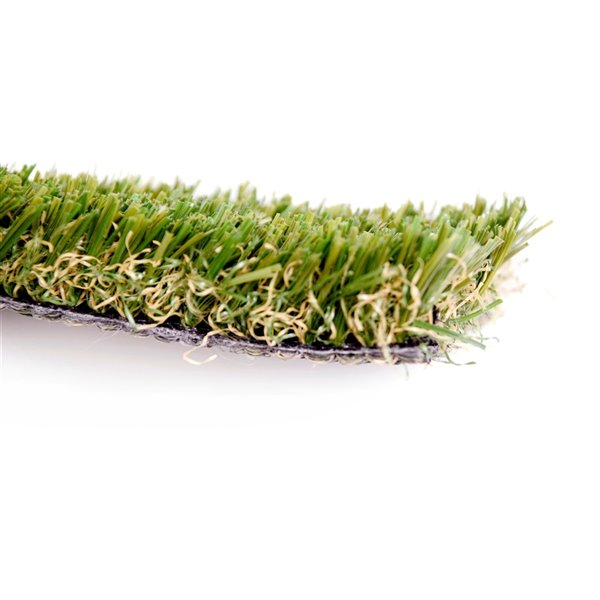 Gazon synthétique Fescue de Green as Grass, 8 pi x 3 pi