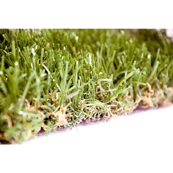 Green as Grass Premium Fescue Artificial Grass, 8-ft x 3-ft