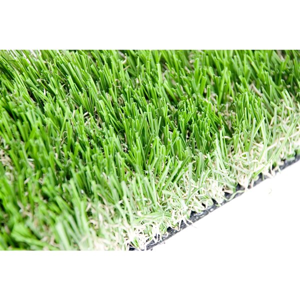 Gazon synthétique de fétuque Sequoia de Green as Grass, 25 pi x 7,5 pi