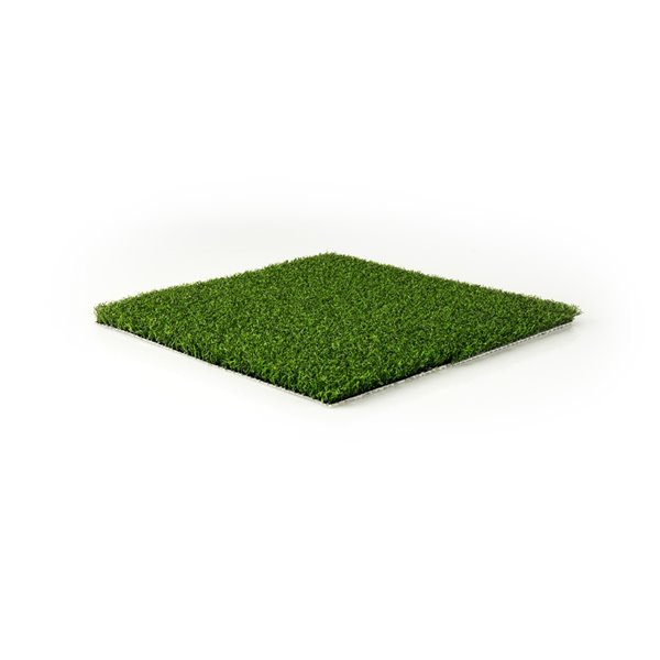 Green as Grass Putting Green Fescue Artificial Grass Sample, 1-ft x 1-ft