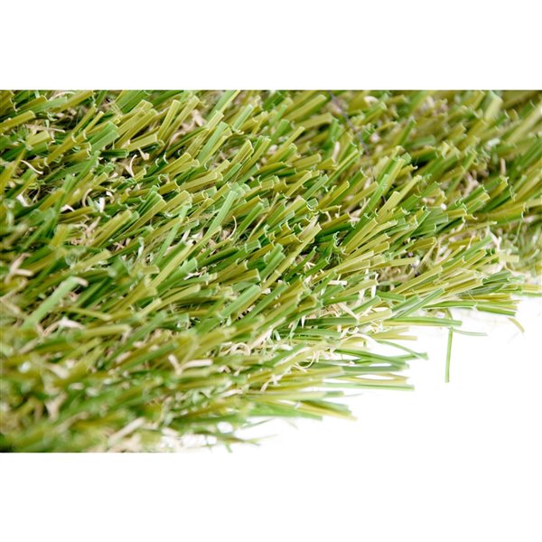 Green as Grass Pro Fescue Artificial Grass, 25-ft x 7.5-ft