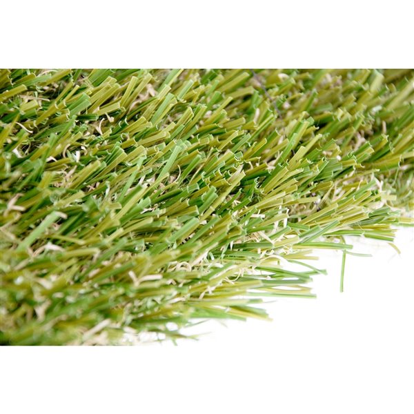 Gazon synthétique Fescue Pro de Green as Grass, 25 pi x 7,5 pi