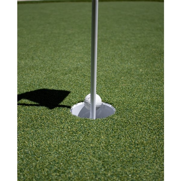 Green as Grass Putting Green Fescue Artificial Grass, 10-ft x 7.5-ft